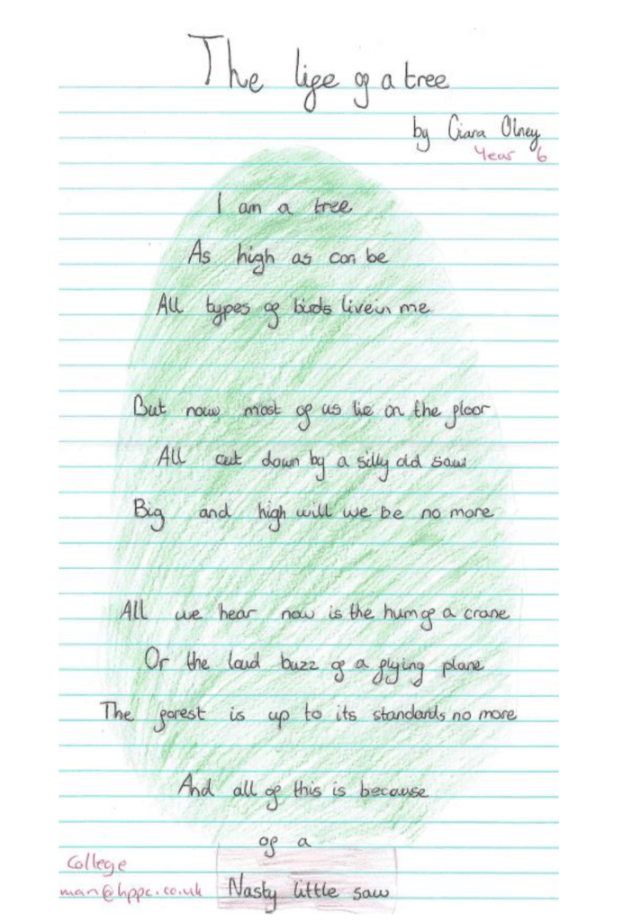 Ciara's poem, Cuckfield Poetry competition