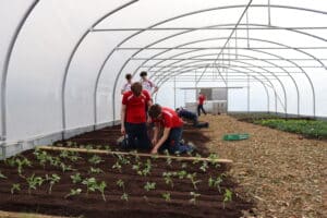 Hurst pupils working on the Full-Circle Farm