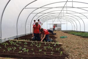 Hurst pupils planting crops