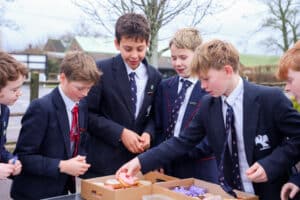 Terra Charity Day